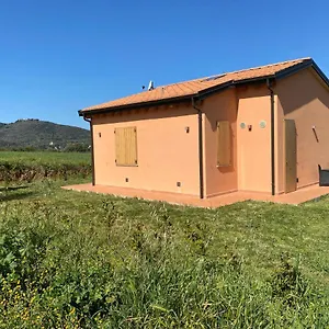 San Giuseppe , Baratti Italia